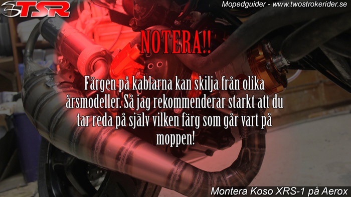 bild29_700 bild29_700