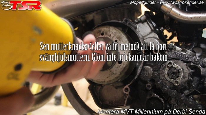 bild7_700_08 bild7_700_08