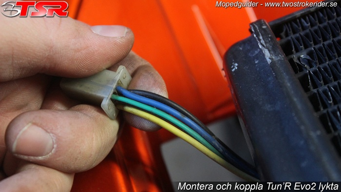 bild7_700_12 bild7_700_12